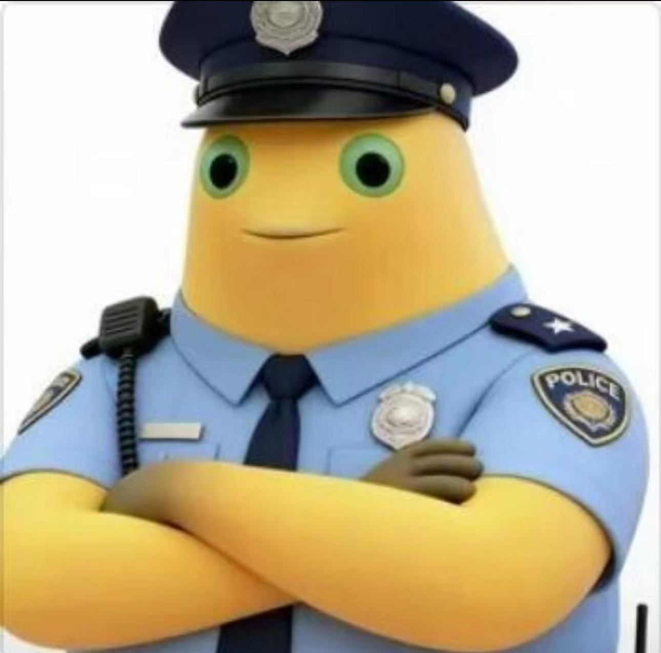 警察奶蛙